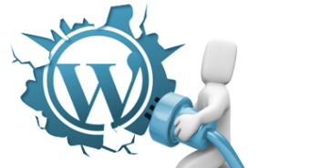 What are the rules that you have to follow for wordpress plugin development?